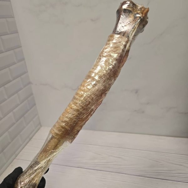 غول قلم با دورپیچ نای (نیم متری)